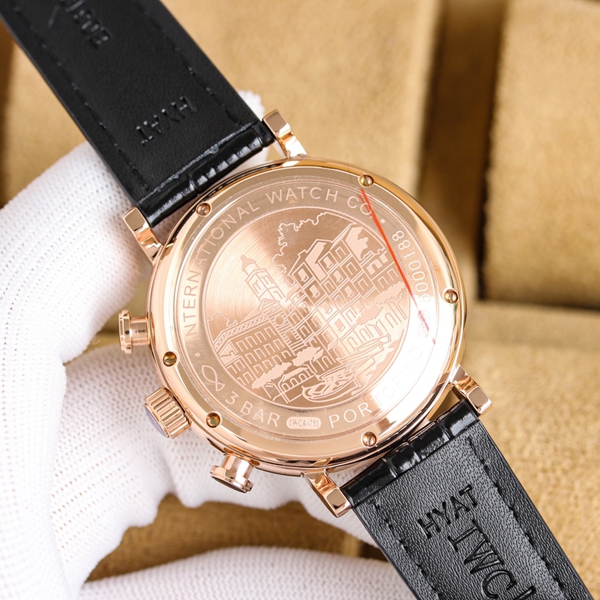 アイ・ダブリュー・シー着用イメージ